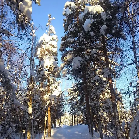 Huoneisto Taika With Sauna And Balcony In A Location In To Explore Lapland The Northern Lights Meet Santa Claus Free Parking Rovaniemi