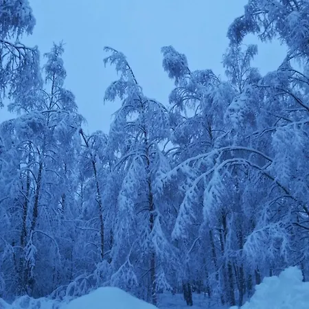 Taika With Sauna And Balcony In A Location In To Explore Lapland The Northern Lights Meet Santa Claus Free Parking Huoneisto Rovaniemi