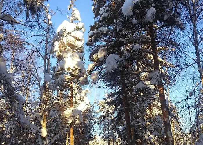 Lägenhet Taika With Finnish Sauna, Glazed Balcony & Free Parking -your Base To Explore The Arctic And Santa's Magical Hometown Rovaniemi