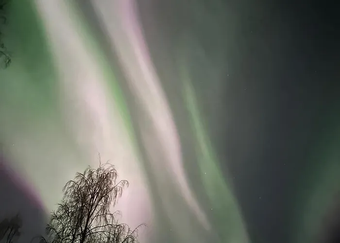 Taika With Finnish Sauna, Glazed Balcony & Free Parking -your Base To Explore The Arctic And Santa's Magical Hometown Lägenhet