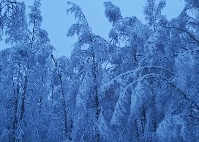 Taika With Finnish Sauna, Glazed Balcony & Free Parking -your Base To Explore The Arctic And Santa's Magical Hometown Lägenhet Rovaniemi